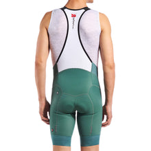 Load image into Gallery viewer, Giordana Mens FR-C Pro Bib Short - Smokey Sage
